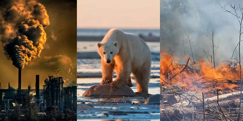 20 preguntas y respuestas del cuestionario sobre el cambio climático
